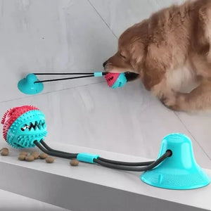 Juguete pelota masticable para perro